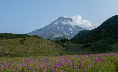 View of Viluchinskiy volcano in summer. Kamchatka