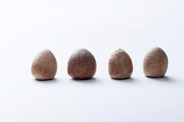 Betel-nut Palm, Supari, Areca catechu, Satara, Maharashtra, India