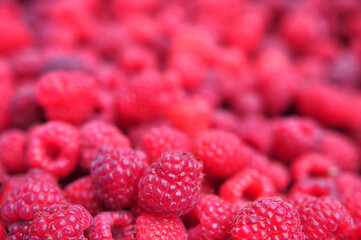 Beautiful natural red Raspberry background, blurred