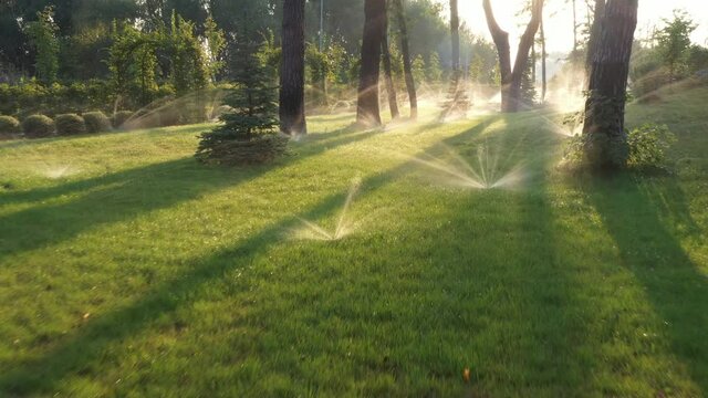 Automatic lawn watering works in the park at dawn.