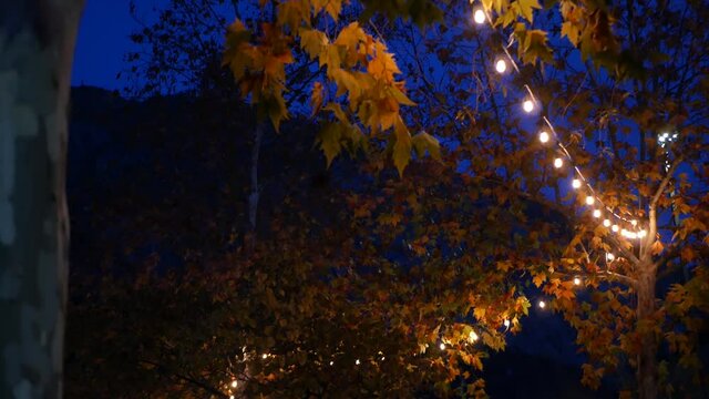 Yellow or orange autumn maple tree leaves and glowing garland in cozy twilight. Romantic illuminated electric bulb lamp lights and faill foliage at dusk. Golden october, september or november night.