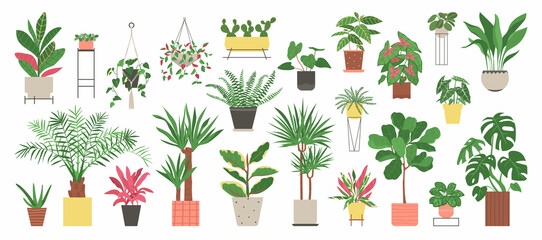 Big set of home plants isolated on a white background. Collection of indoor plants in pots. Home decor. Vector illustration in flat style.