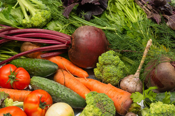 A set of vegetables harvested in summer or autumn. Vegetables for a healthy diet and vegetarianism