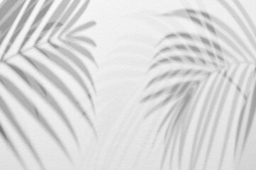 Light and shadow leaves,palm leaf on grunge white wall concrete background.Silhouette abstract tropical leaf natural pattern for wallpaper,spring ,summer texture.Black and white blurred image backdrop - 451186999