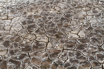 Dry earth covered with deep cracks