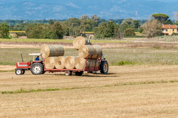 Large hay bales are loaded on a trailer in the Tuscan countryside, Italy