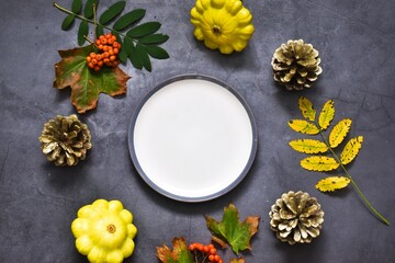 Festive autumn decor from squash, fir cones, berries, leaves and empty plate on a gray concrete background. Concept of Thanksgiving day or Halloween.Flat lay autumn composition with copy space.