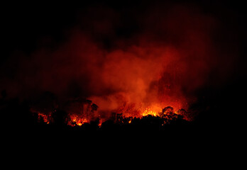Wildfire At Night