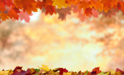 Naklejka na ściany i meble maple leaves on the autumn background with copy space 
