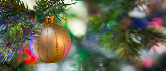 Christmas Ball hanging on a Fir Tree Branch. Christmas Background.