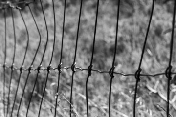 Monochrome steel fence along agricultural field