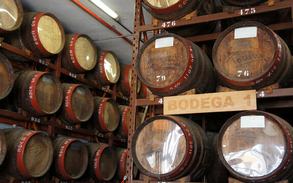 Lots of barrels of rum. Arucas, rum distillery.Gran Canaria.Spain.