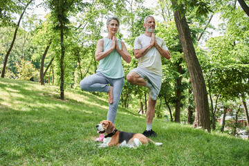 Obraz premium Mature couple making exercises at the nature at the open air