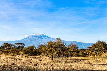 Naklejka premium The snow-capped Mount Kilimanjaro