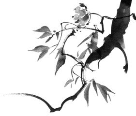 Tree with leaves and berries