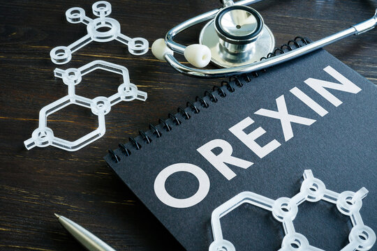 Notepad with word orexin and chemical symbols.