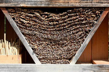 Insect hotels