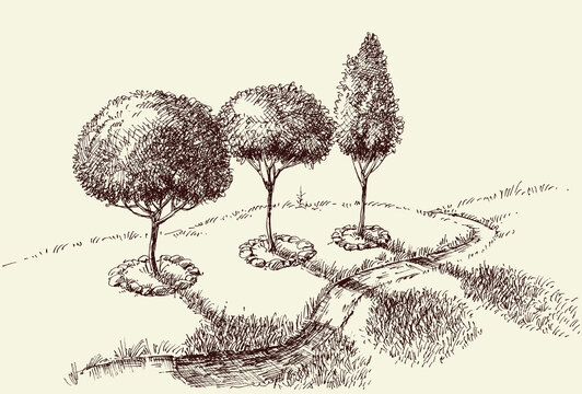 Park alley hand drawing, trees and a footpath landscape