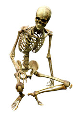 3D Rendering Human Skeleton on White