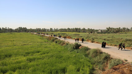 The walk from Najaf to Karbala to the shrine of Imam Hussein Ibn Ali in Iraq