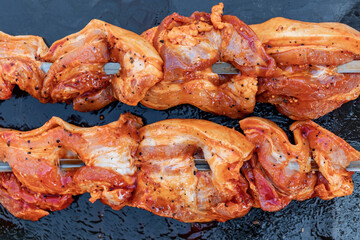 Fresh juicy marinated meat on a skewer. Preparing meat for grilling on charcoal. Close-up.