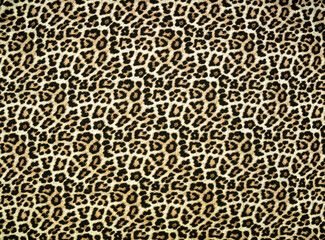 Cotton fabric with leopard animal print	