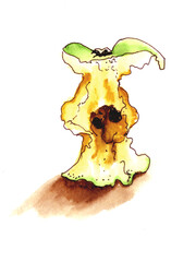 Apple core watercolour hand drawn sketch for your design 