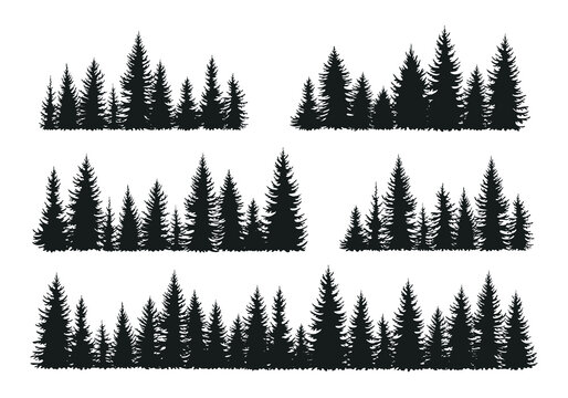 Set of fir forest silhouettes. Coniferous spruce trees horizontal background. Collection of black evergreen panoramas. Isolated on white vector illustration in hand drawn style 