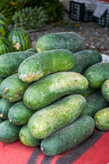 Long winter melon at the farmers market, close-up of zucchini