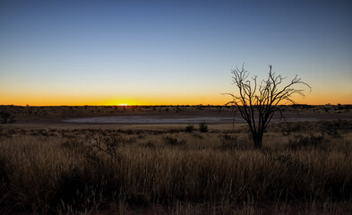 Fototapeta na wymiar Kalahari Sunset
