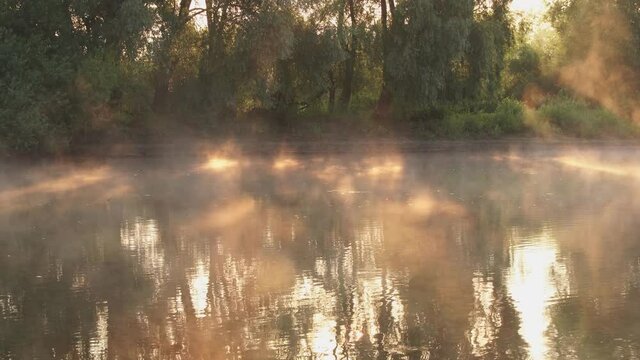 Beautiful scenic peaceful early morning foggy river and green trees growing on shores. 4k video background
