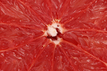 Ruby red grapefruit closeup macro pulp