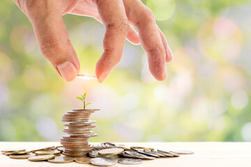 Human hand placing a coin on a pile of coins with a small tree on top, use for for business and...
