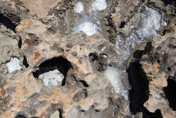 the sea coast in the form of bottom sediments flooded with seawater with the formation of salt...