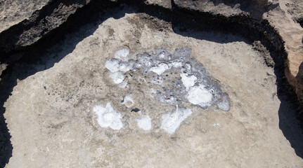 the sea coast in the form of bottom sediments flooded with seawater with the formation of salt...