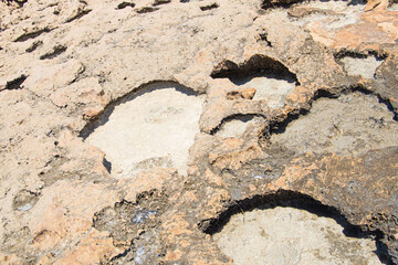 the sea coast in the form of bottom sediments flooded with seawater with the formation of salt...