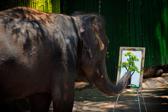 Train an elephant to paint a tree with watercolors.