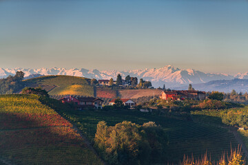 Fototapeta premium Panorama of the vineyards, in autumn, in the Langhe, Piedmont, Italy