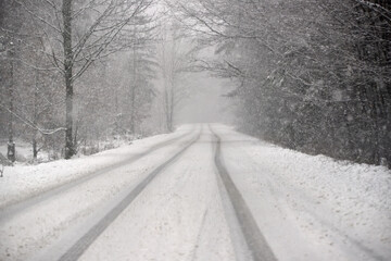 roads between the lines of trees during a snowstorm - obrazy, fototapety, plakaty
