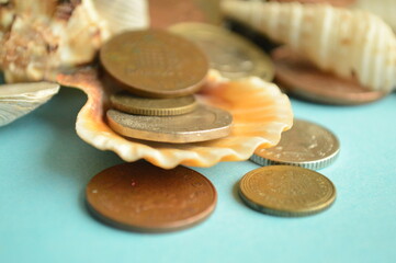 sea shells and euro coins