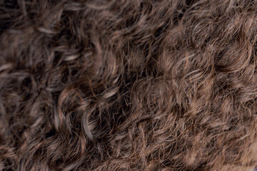 brown hair texture close up shot
