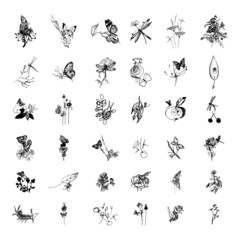 Collection of monochrome illustrations with flowers and insects in sketch style. Hand drawings in art ink style. Black and white graphics.