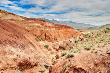 Martian relief. Red hills with sparse green vegetation.
