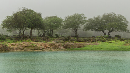 Landscape in Wadi Darbat, Salalah, Oman. - obrazy, fototapety, plakaty