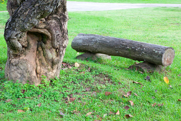 Landscaping in the garden.