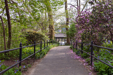 Naklejka premium Beautiful Spring Central Park Walkway with Green Plants and Flowers in New York City