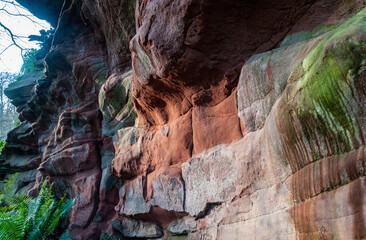The cave , park and forest on the Quarry Bank estate