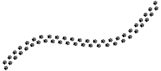 Animal tracks. Animal paw icon. Animal footprints form road, vector.