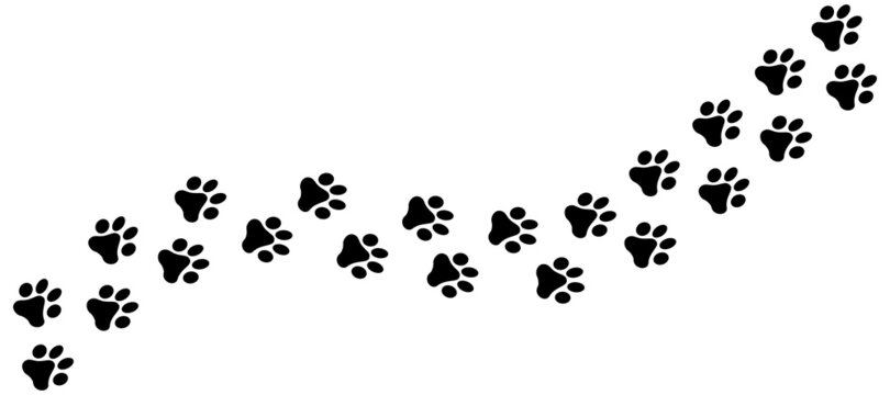 Animal tracks. Animal paw icon. Animal footprints form road, vector.