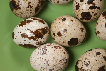 Quail eggs on a green ceramic plate